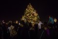 2017-christmas-tree-lighting_38769227381_o.jpg