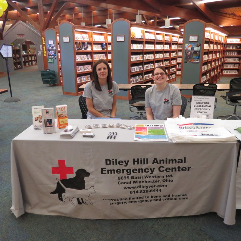 Diley Hiley Animal Emergency Center.jpg