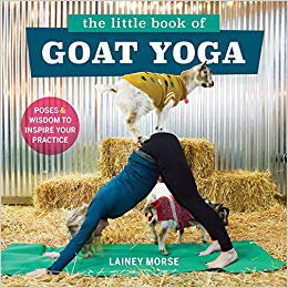 Goat Yoga.jpg