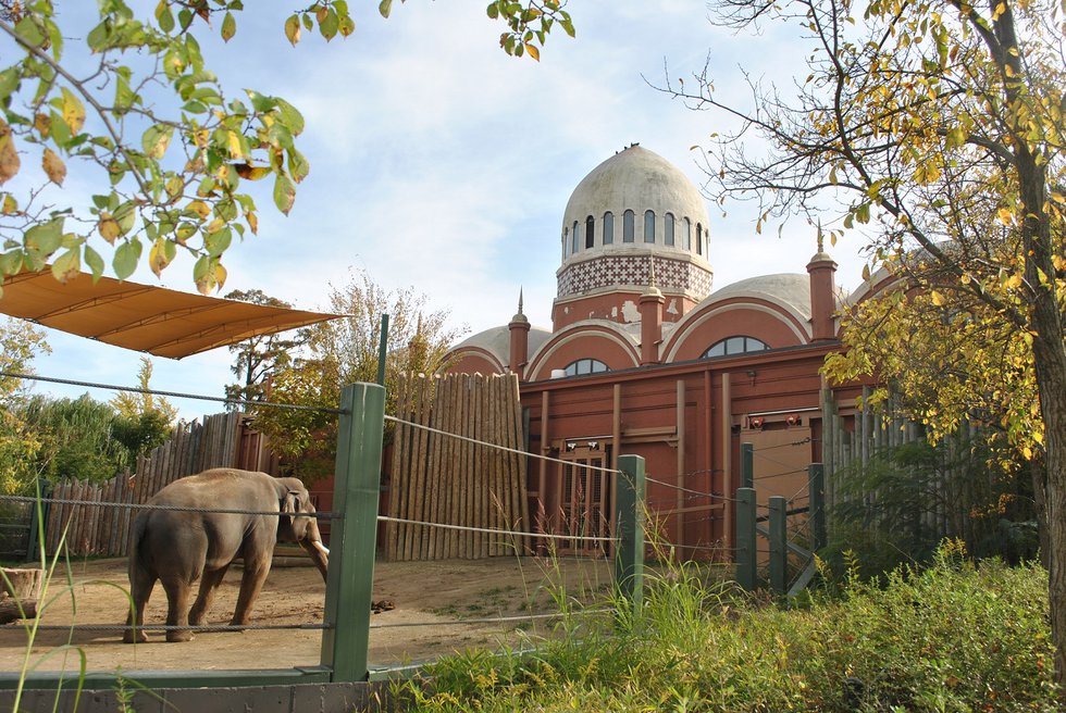 Cincinnati_Zoo_-_Elephant_House_View_3.jpg