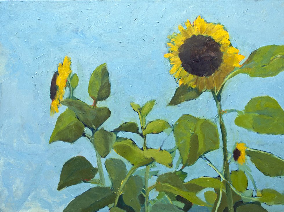 Highline Holly Leonard, Sunflowers.jpg