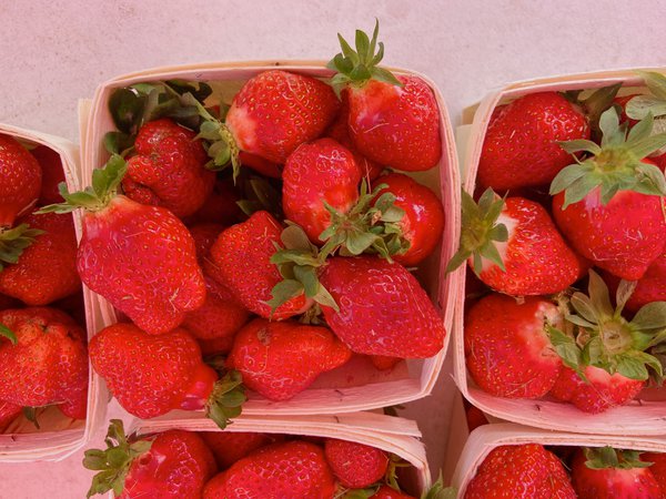 Strawberries at UA Farmers Market.jpg