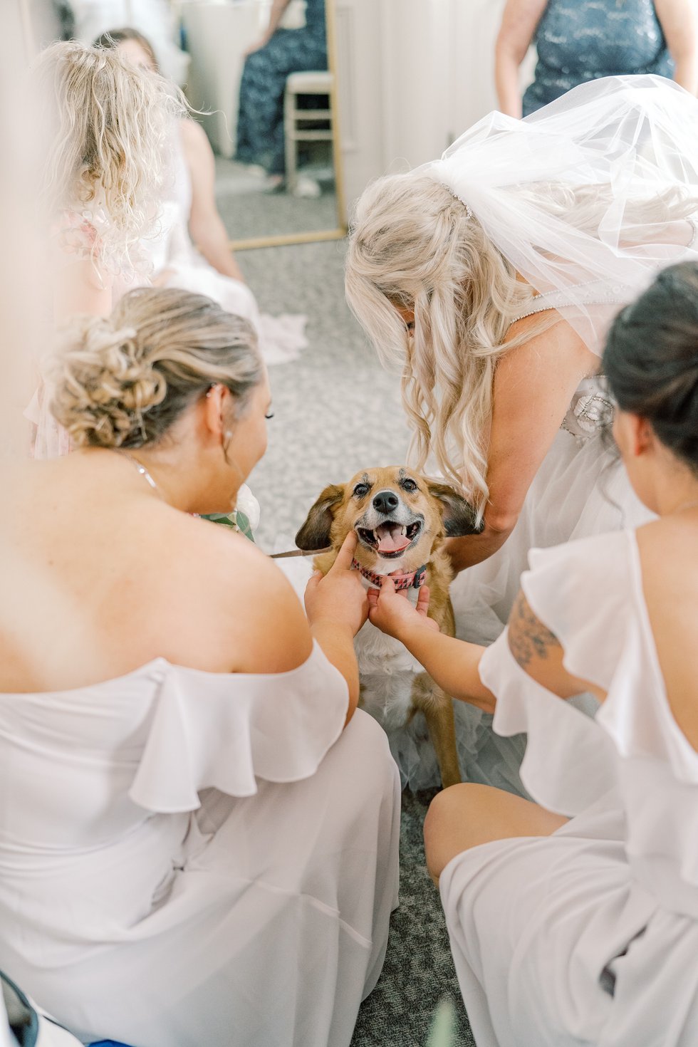 Best dog, Kairi Deemer, celebrates the wedding of her owners, Emily Jake. Photo courtesy of Jessica Babic Photography4.jpeg