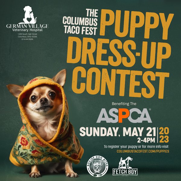 Puppy Dress-up Contest.jpeg photo courtesy of Columbus Taco Fest.jpeg