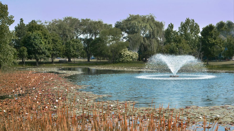 3 Lily pond-.jpg