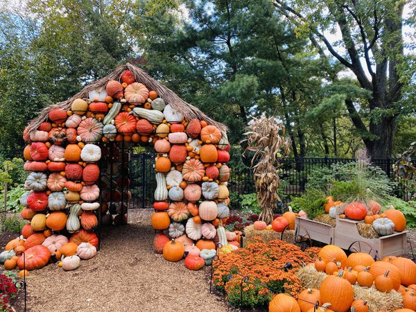 Pumpkin House (1).jpg