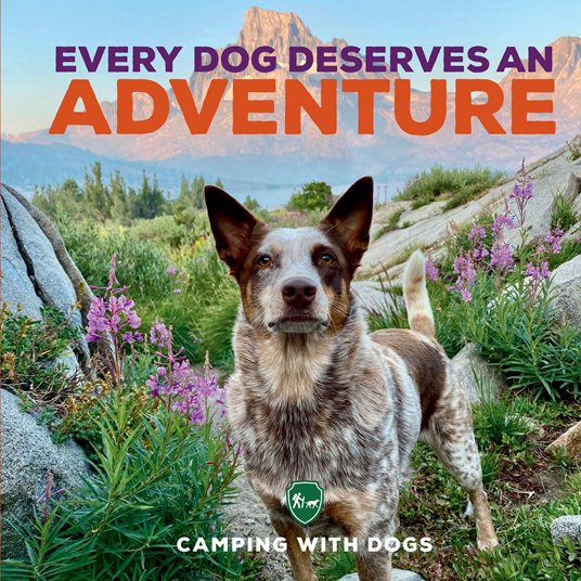 every dog deserves adventure