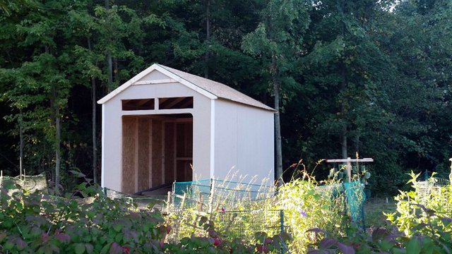 Shed progress end of day 2.jpg