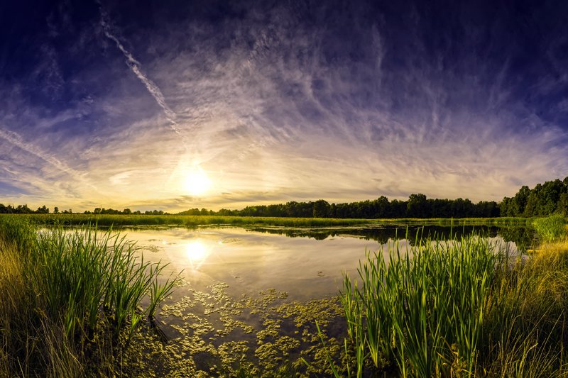 RKF_meadow pond_Sept_Carey Sherrill.jpg