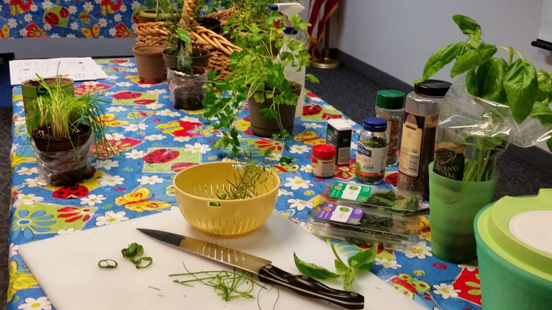 20160310_Friends_of_the_Grandview_Library_All_About_Herbs.jpg